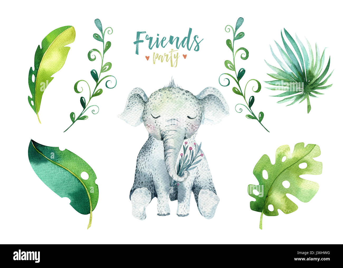 Pepiniere De Bebes Animaux Illustration Isole Pour Les Enfants Boho Aquarelle Dessin Tropical Enfant Mignon Tropic Tortue Douche De Bebe Photo Stock Alamy Pepiniere De Bebes Animaux Illustration Isole Pour Les Enfants Boho Aquarelle Dessin Tropical Enfant Mignon Tropic Tortue Douche De Bebe Photo Stock Alamy