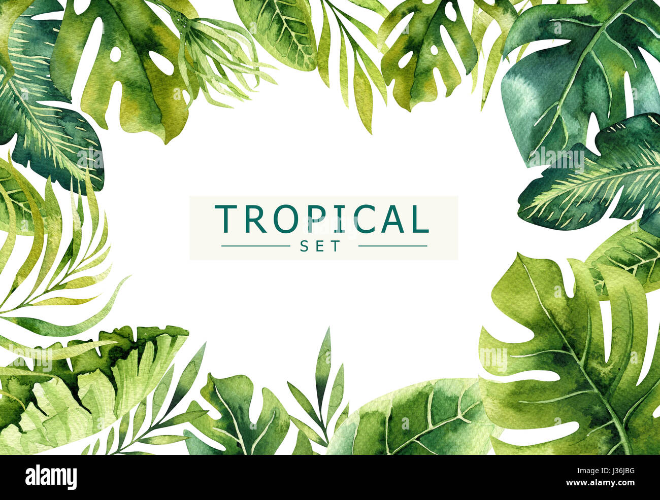 Plantes tropicales aquarelle dessiné à la main arrière-plan. Feuilles de palmiers exotiques, jungle arbre, Brésil tropic borany éléments. Parfait pour le motif du tissu. Aloha l'art. Banque D'Images