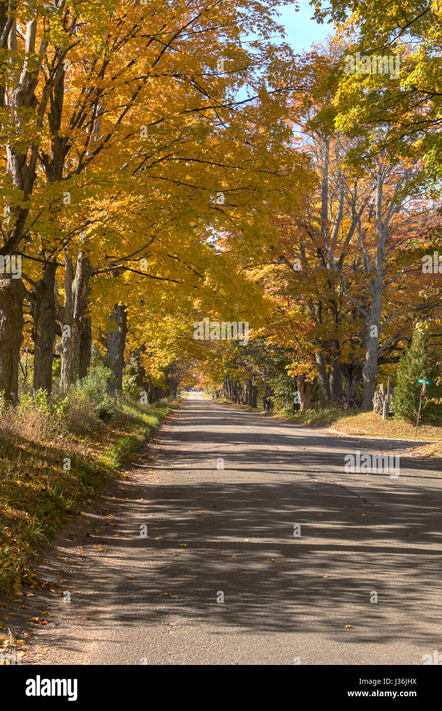 Une belle route panoramique retour à l'automne feuillage Banque D'Images