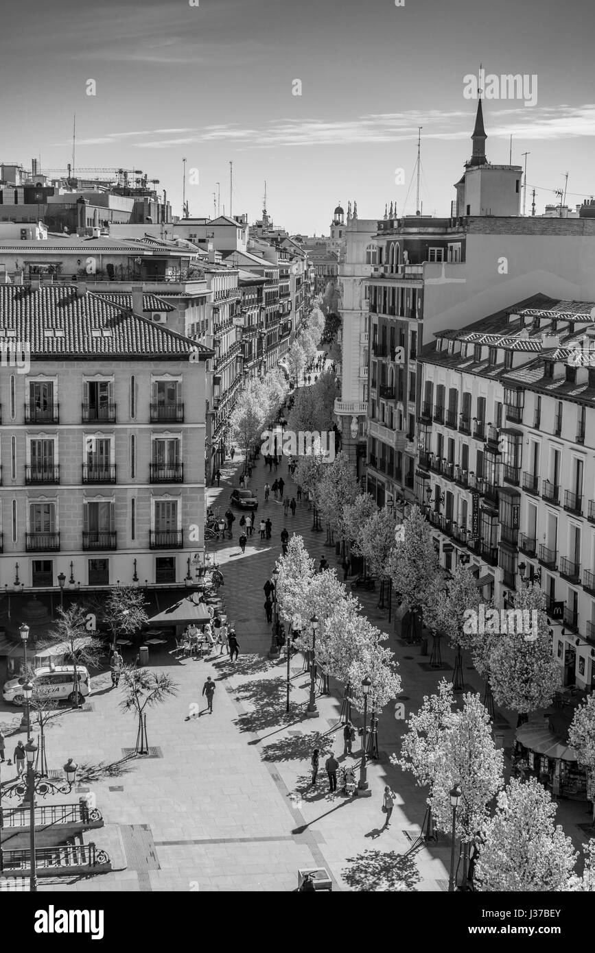 La floraison des cerisiers de la Plaza de Isabel II le long de la rue Calle del Arenal (Arenal) jusqu'à la Puerta del Sol et la tour de l'horloge, Madrid Espagne Banque D'Images