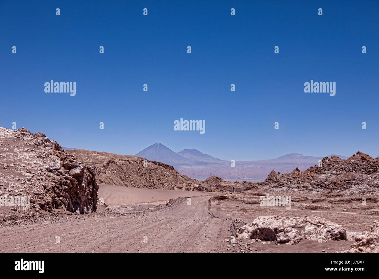 À la recherche en bas de la route dans la vallée de la Lune, Désert d'Atacama, au Chili. Banque D'Images