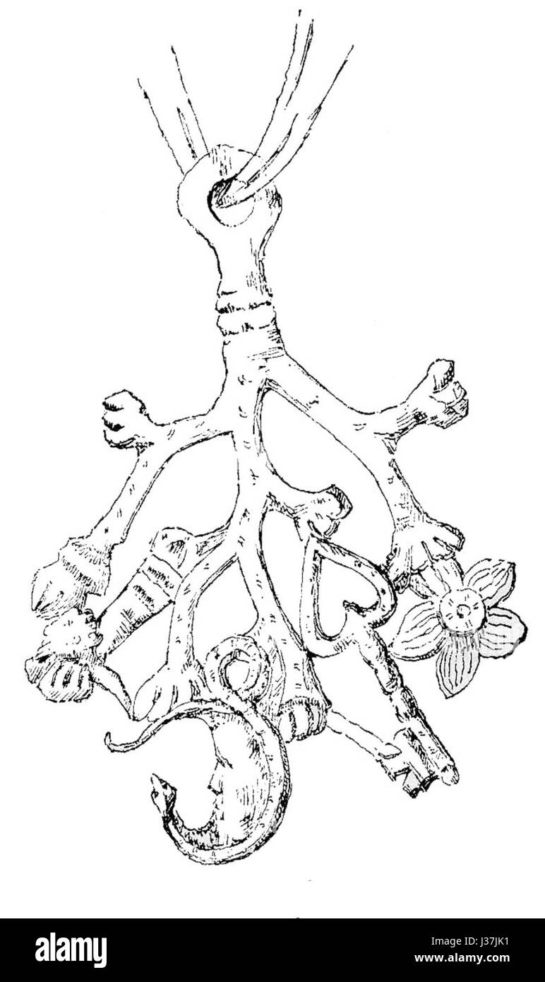 Le Cimaruta est un charme folklorique italien, souvent porté comme bijoux pour se protéger contre le « mauvais œil ». La référence 'Elworthy' peut se référer à un travail scientifique ou historique lié à ce charme, communément associé au sud de l'Italie. Banque D'Images
