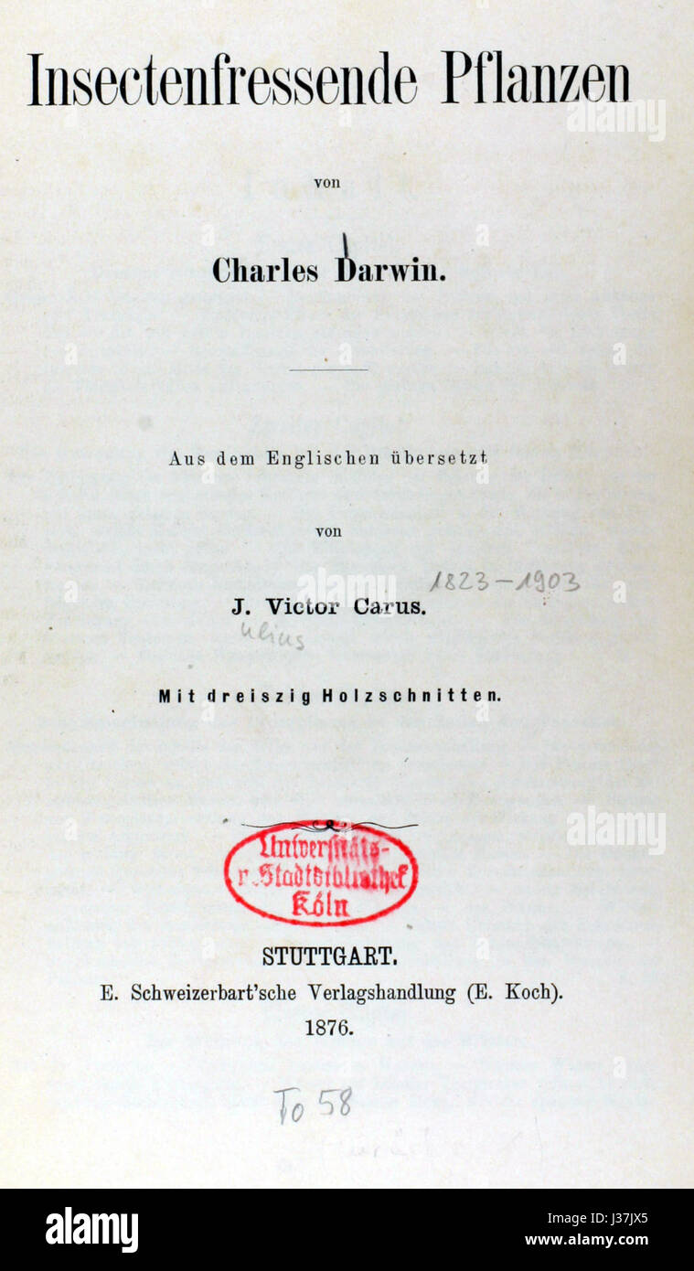 Une image tirée de 'de Darwin Insectenfressende Pflanzen' (plantes insectivores de Darwin), représentant diverses plantes mangeuses d'insectes étudiées par Charles Darwin. Ces plantes, y compris les pièges à mouches et les dièses solaires de Vénus, présentent des adaptations biologiques uniques. Banque D'Images