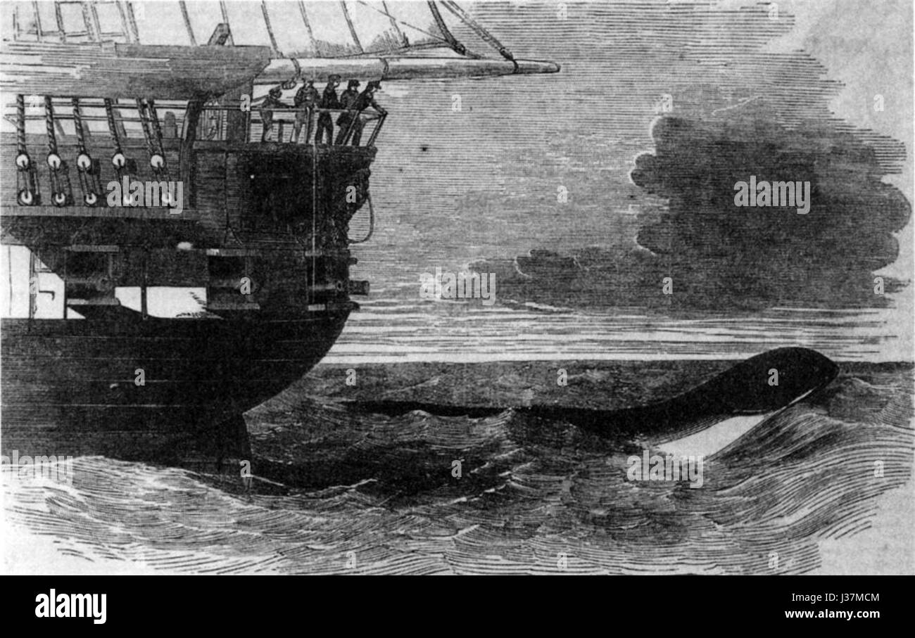 Le serpent de mer du Dédale, capturé dans une représentation de 1848, peut faire référence à une créature marine mythique ou légendaire souvent associée à des traditions anciennes. Il pourrait représenter la fascination pour les monstres marins et les êtres mythiques au 19ème siècle. Banque D'Images