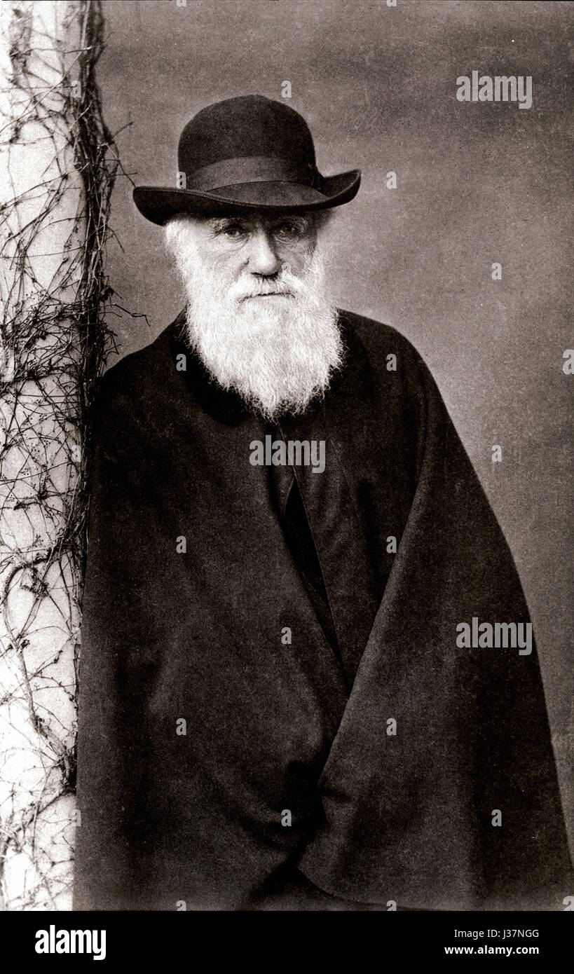 Darwin, 1881 Banque D'Images