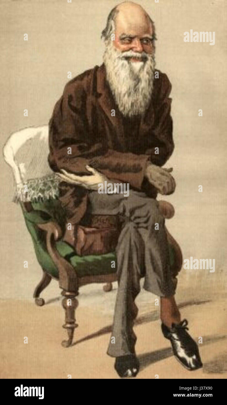 Darwin karikatur4 Banque D'Images