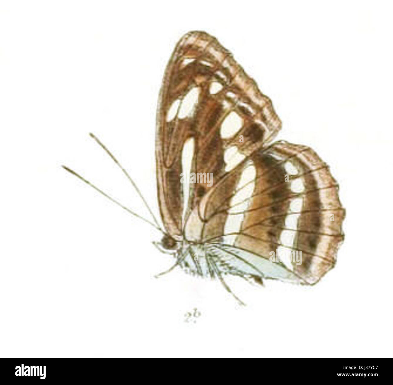 ChendranaPravara259 2b Banque D'Images