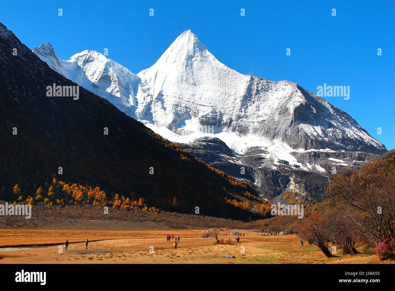 L'automne à la Réserve Naturelle de Yading dans Daocheng County, Chine Banque D'Images