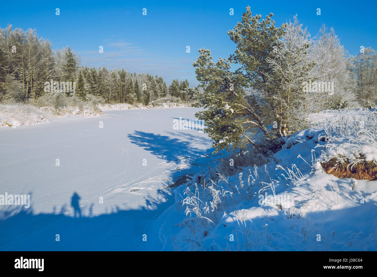 Riga, Lettonie, Gauja, 2016, Nature, soleil, arbres et belle vue. C'est une photo de voyage, quand je marche autour de la ville. Banque D'Images