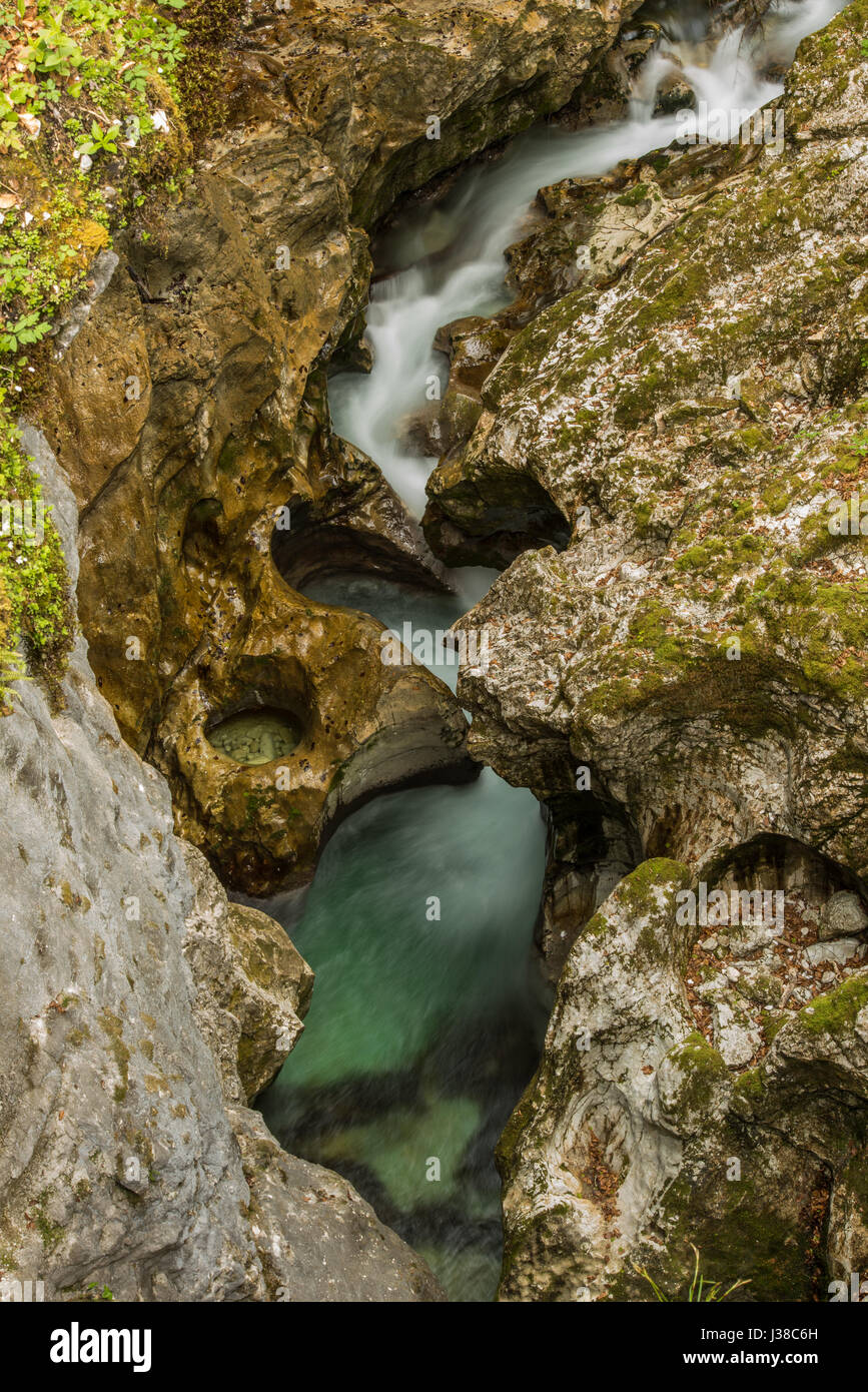 Gorges de Mostnice pittoresques sculptés par glacier près de Bohinj en Slovénie au printemps Banque D'Images