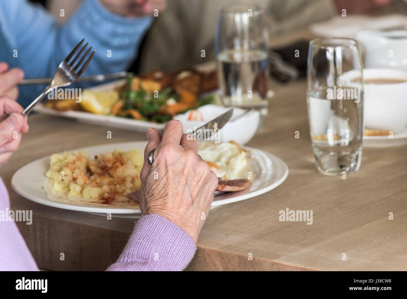 Un citoyen âgé de manger un repas au restaurant ; assiette de nourriture ; coin ; couverts ; mains ; âgés de mains ; pensionné Banque D'Images