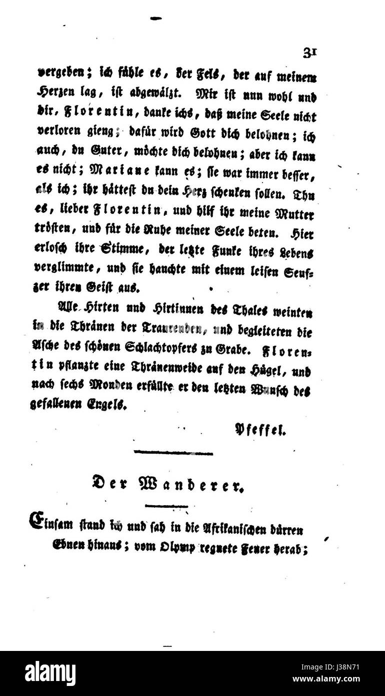 'Der Wanderer Flora 29' est une illustration botanique classique, présentant des représentations détaillées de plantes du XIXe siècle. L'illustration sert de représentation éducative de la flore, mettant en évidence diverses espèces et leurs caractéristiques. Banque D'Images