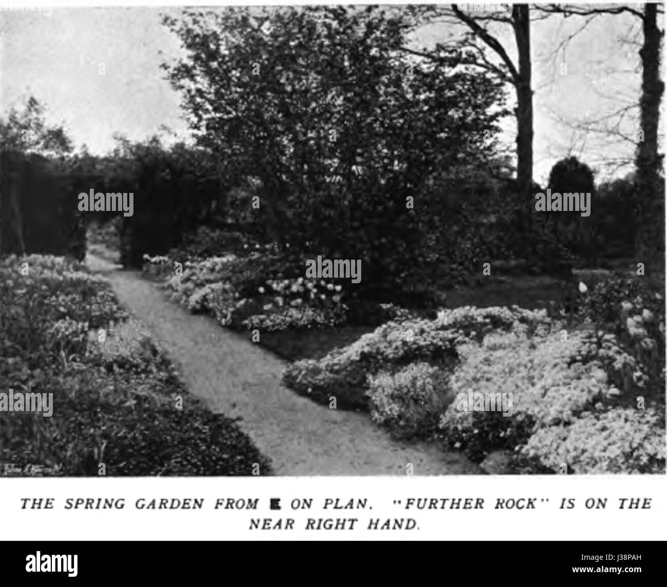 Ce titre fait référence aux couleurs vibrantes trouvées dans un jardin de fleurs, soulignant la diversité des fleurs et leurs teintes qui contribuent à un environnement visuellement magnifique et vivant. Banque D'Images