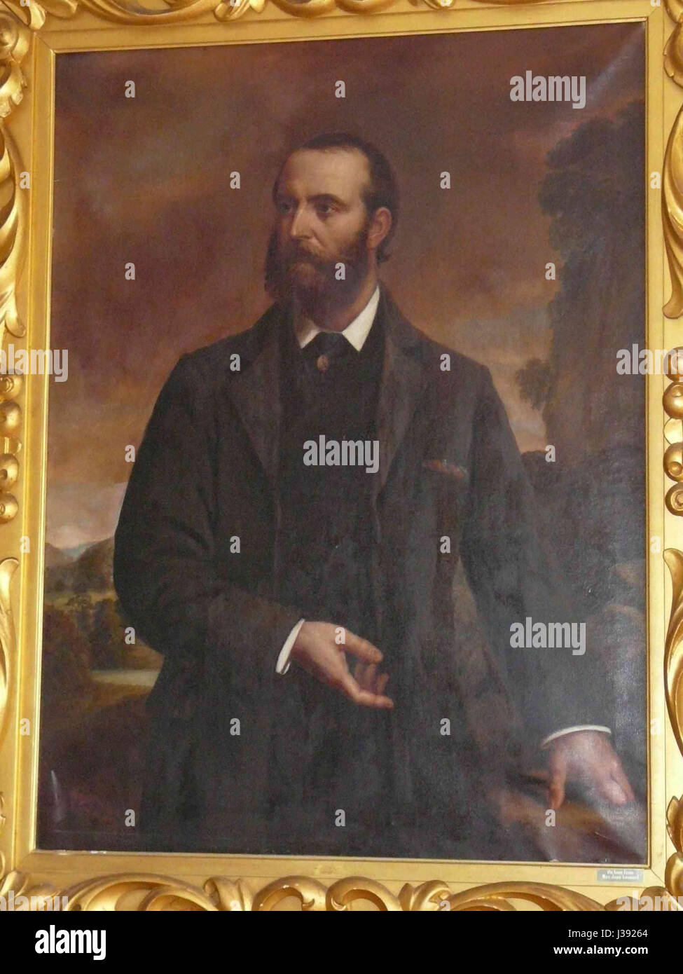 Charles Stewart Parnell 1885 Banque D'Images