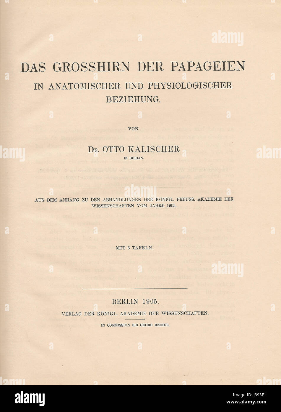 Das Grosshirn anatomischer und der Papageien dans physiologischer Beziehung (1905) Banque D'Images