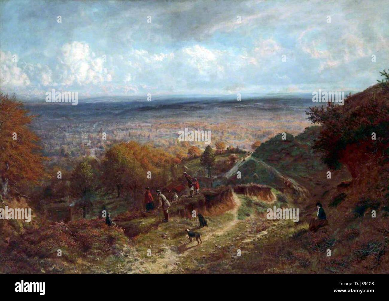 Cub la chasse dans Surrey Banque D'Images Cub la chasse dans Surrey Banque D'Images