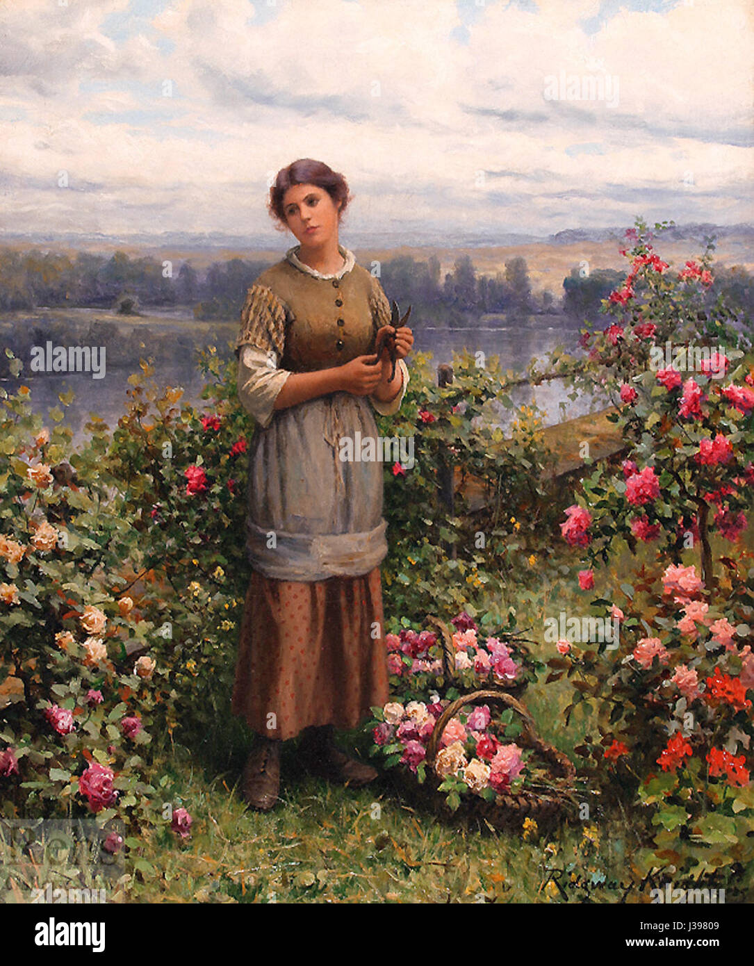 Daniel Ridgway Knight, artiste américain du XIXe siècle, est connu pour son portrait de la vie rurale. Julia Gathering Roses est l'une de ses œuvres, représentant une femme collectionnant des roses, reflétant l'habileté de Knightâ€™ à capturer des moments quotidiens dans des environnements idylliques. Banque D'Images