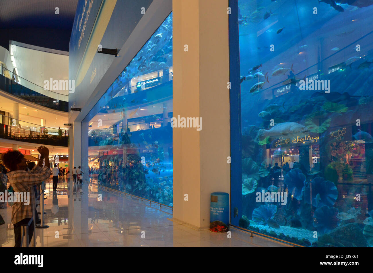 Dubai Shopping Mall (aquarium) & Underwater zoo, centreville de Dubaï
