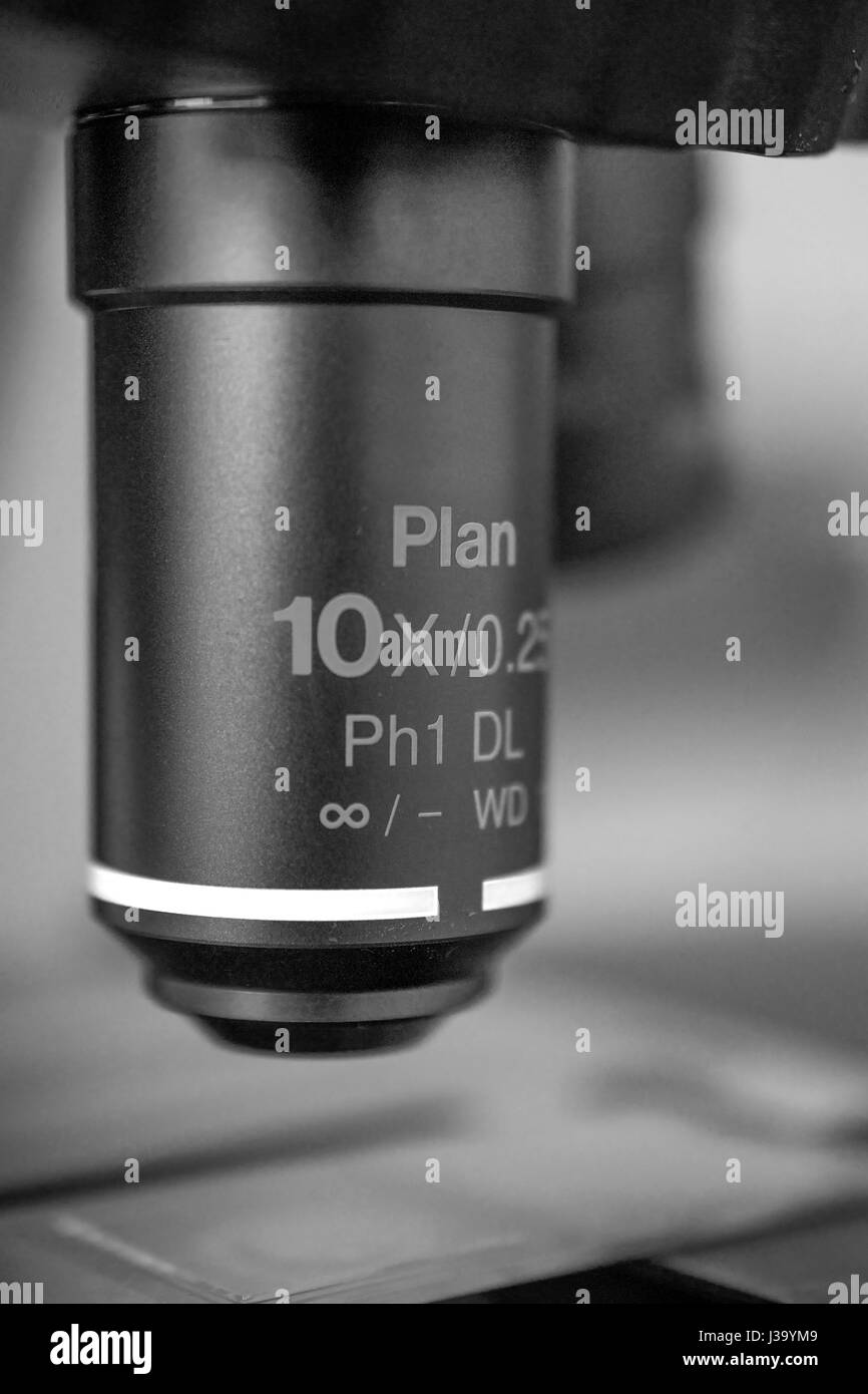 Selective focus sur l'objectif d'une lumière transmise, portée 10 fois, en noir et blanc Banque D'Images