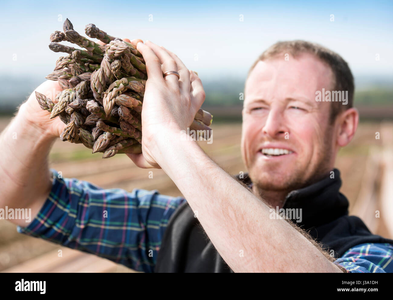 Chris Farmer asperges Chinn de Cobrey ferme près de Ross-on-Wye avec certains de sa récolte qui est arrivé au début de unseasonaly Banque D'Images
