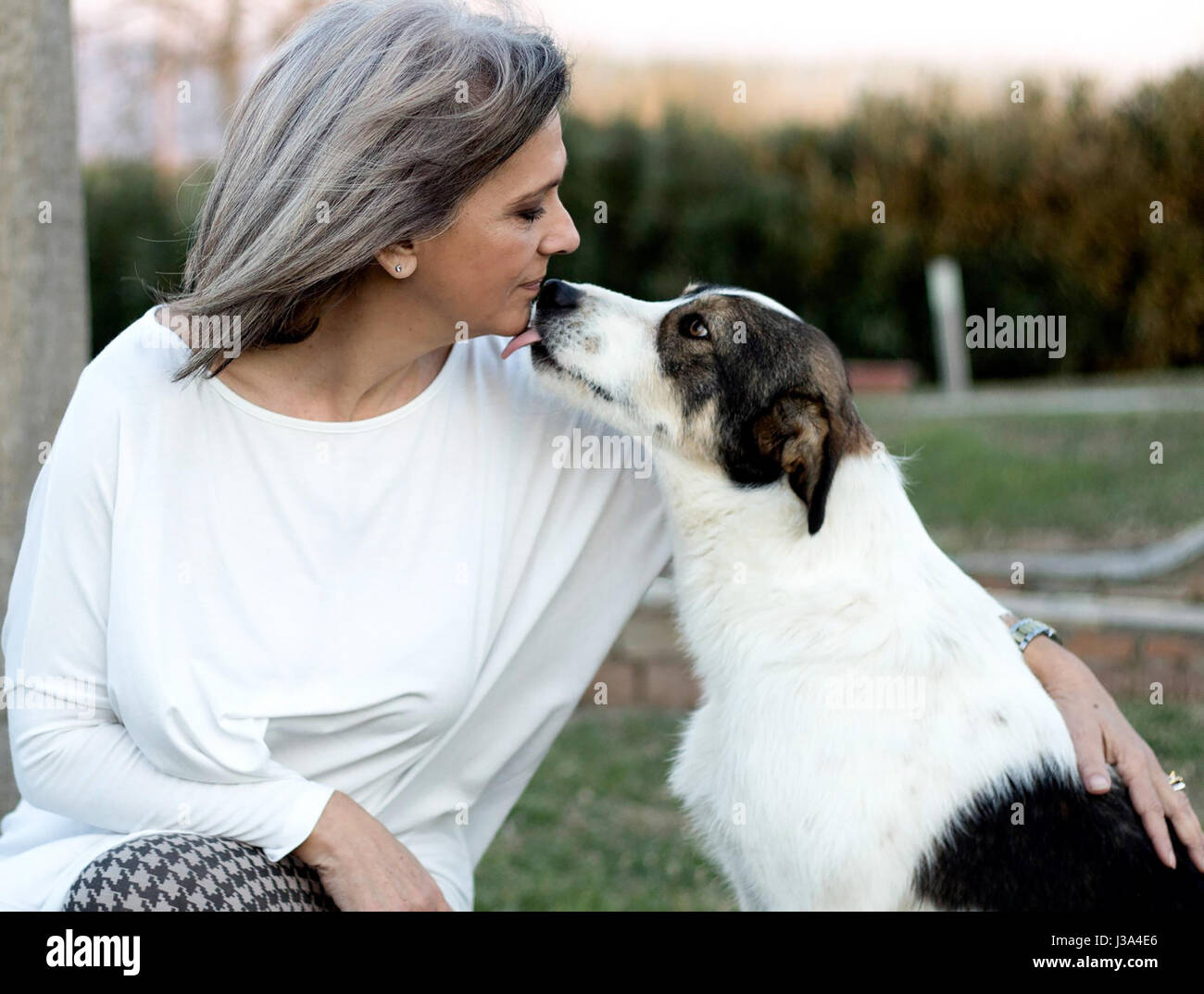 Senior woman kissing son chien devant chez elle. Banque D'Images