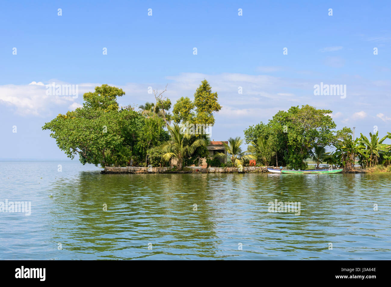 Accueil île isolée sur le Kerala backwaters près de Alleppey (Alappuzha), Kerala, Inde du Sud, en Asie du Sud Banque D'Images