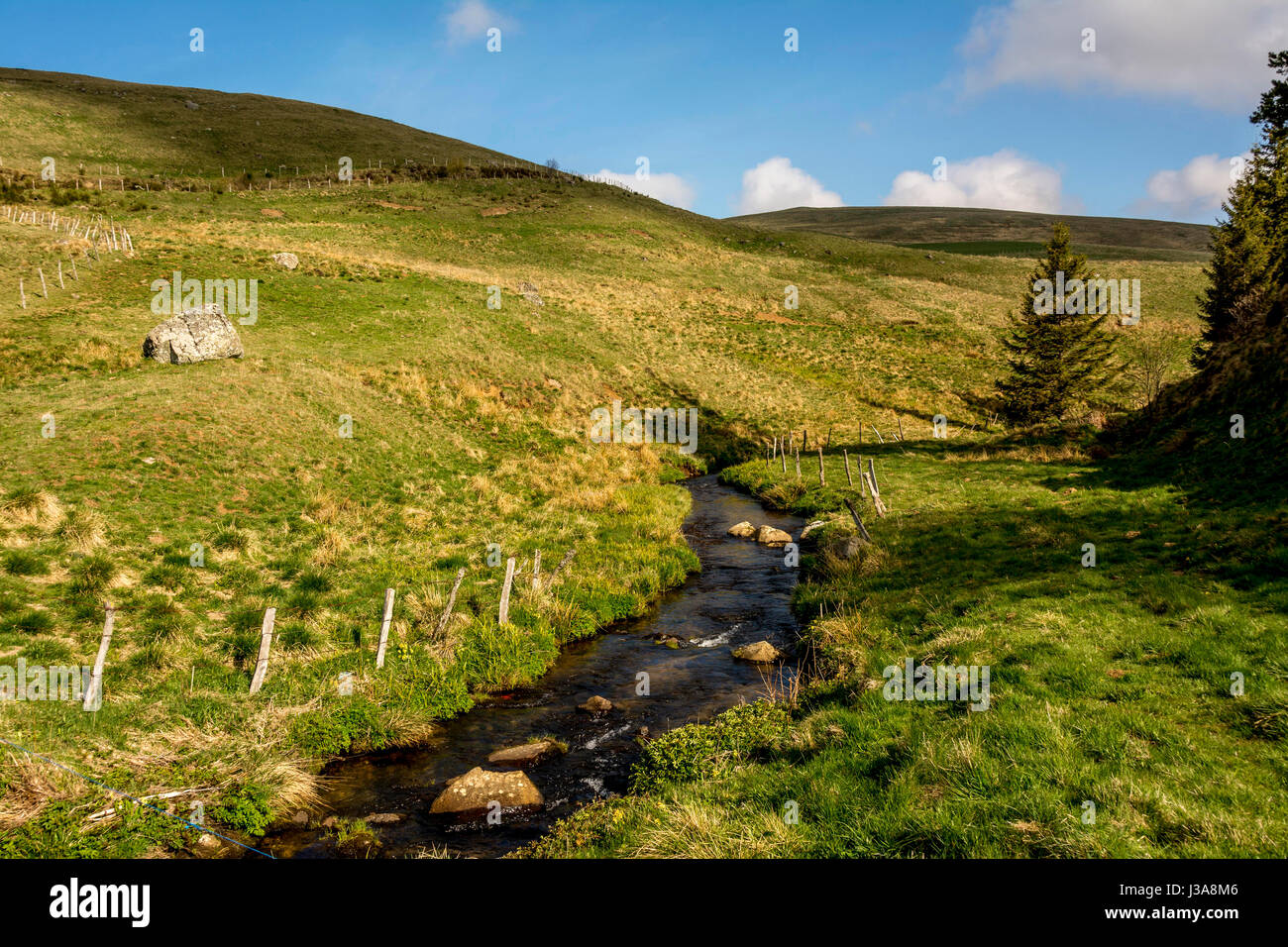 Cezallier massif. Puy de Dôme. L'Auvergne. France Banque D'Images