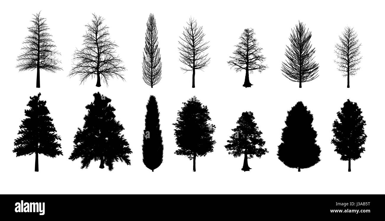 Collection d'arbres noir isolé sur fond blanc Banque D'Images