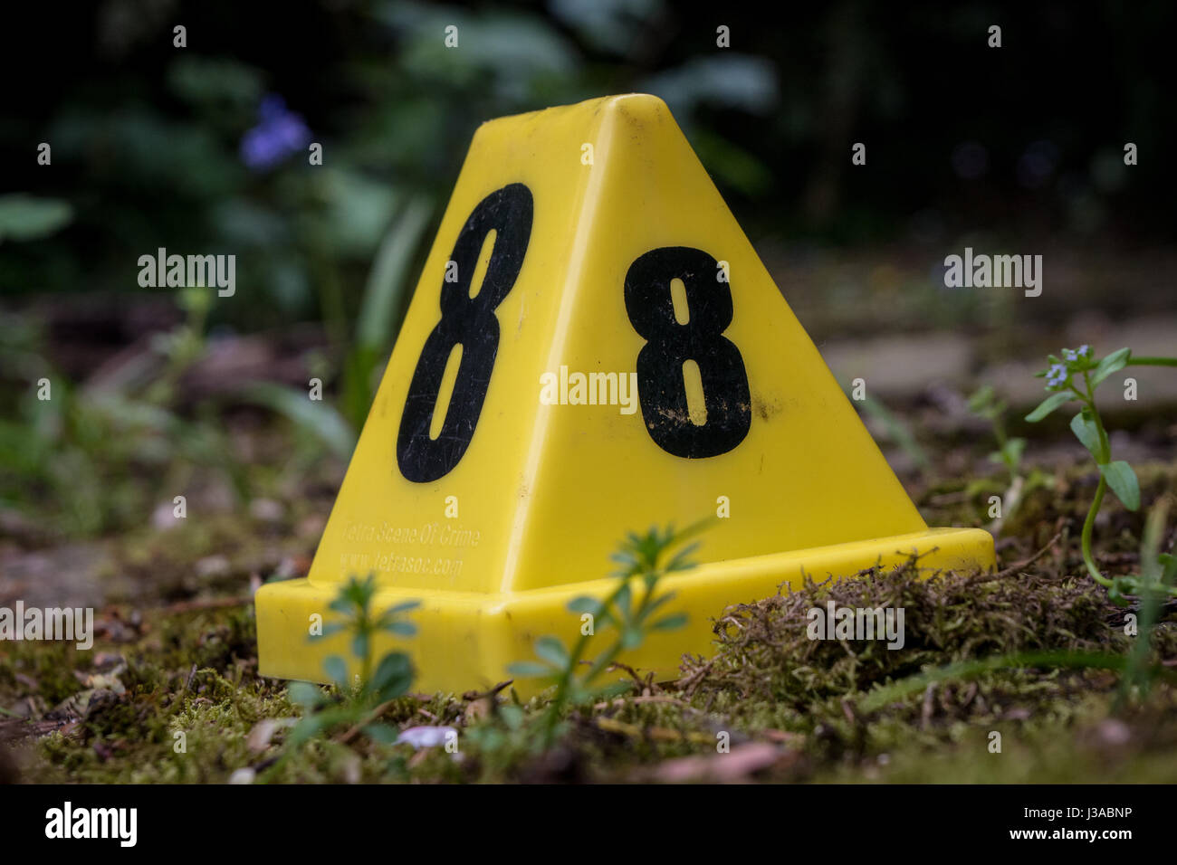 Photos de scène de crime Banque D'Images