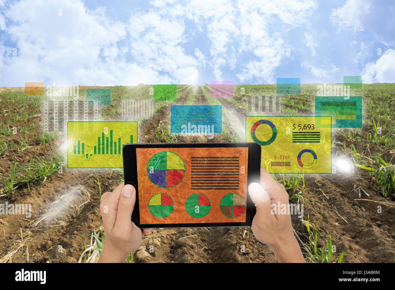 Internet des objets(agriculture concept),l'agriculture intelligente,l'agriculture industrielle.agriculteur tenir une tablette et utiliser la technologie de la réalité augmentée à l'analyse tous les Banque D'Images
