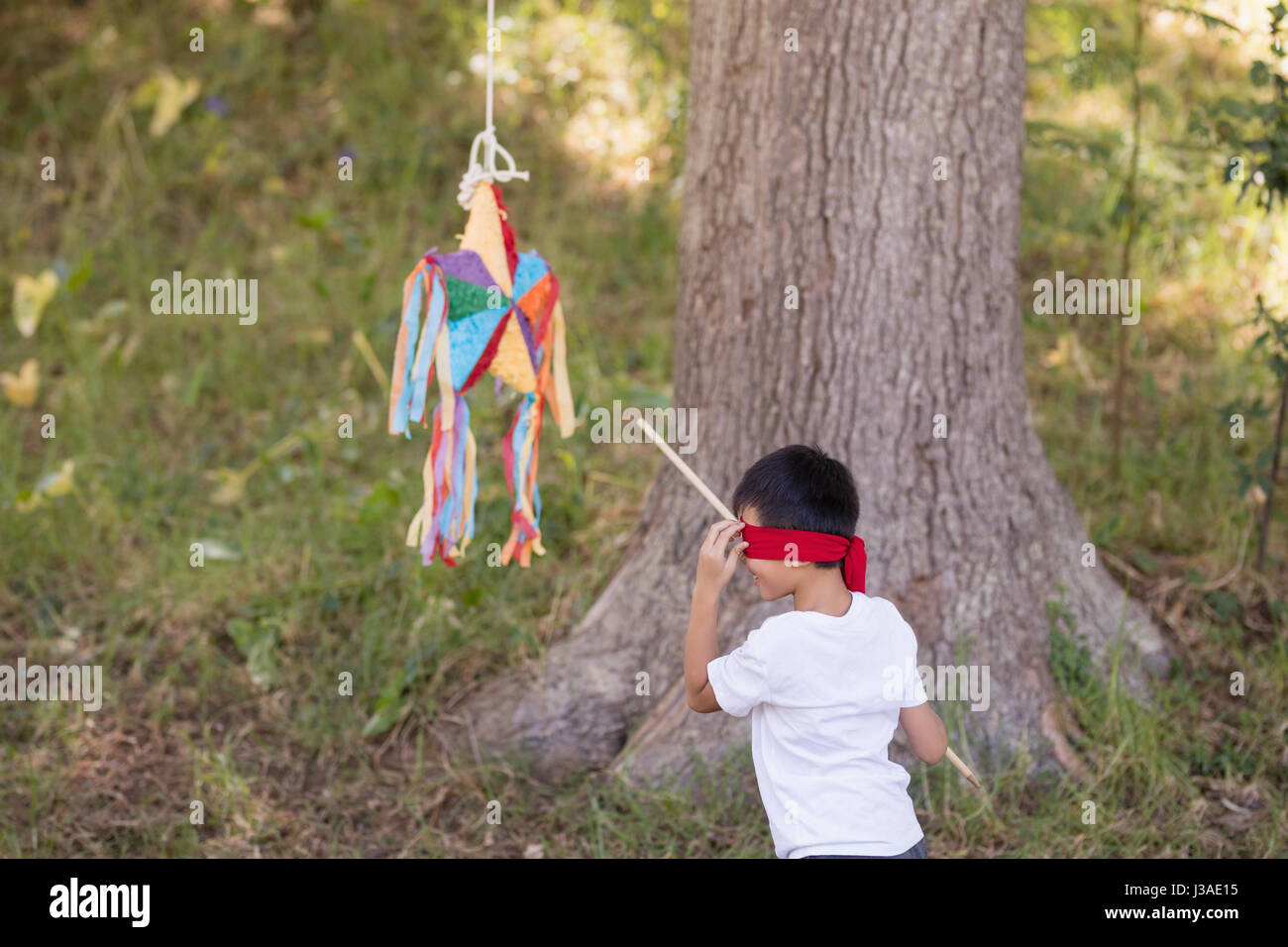 Garçon aux yeux bandés frapper pinata par tree in forest Banque D'Images