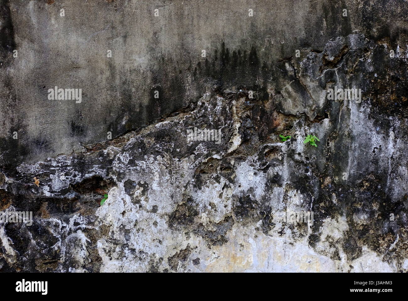 Vieux Mur Texture Background. Banque D'Images