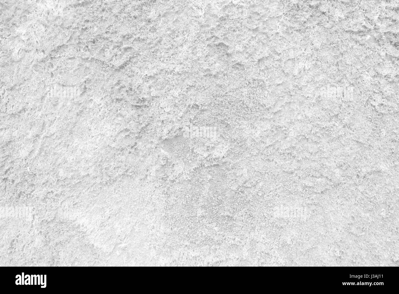 La texture du mur de mousse blanc Arrière-plan. Banque D'Images