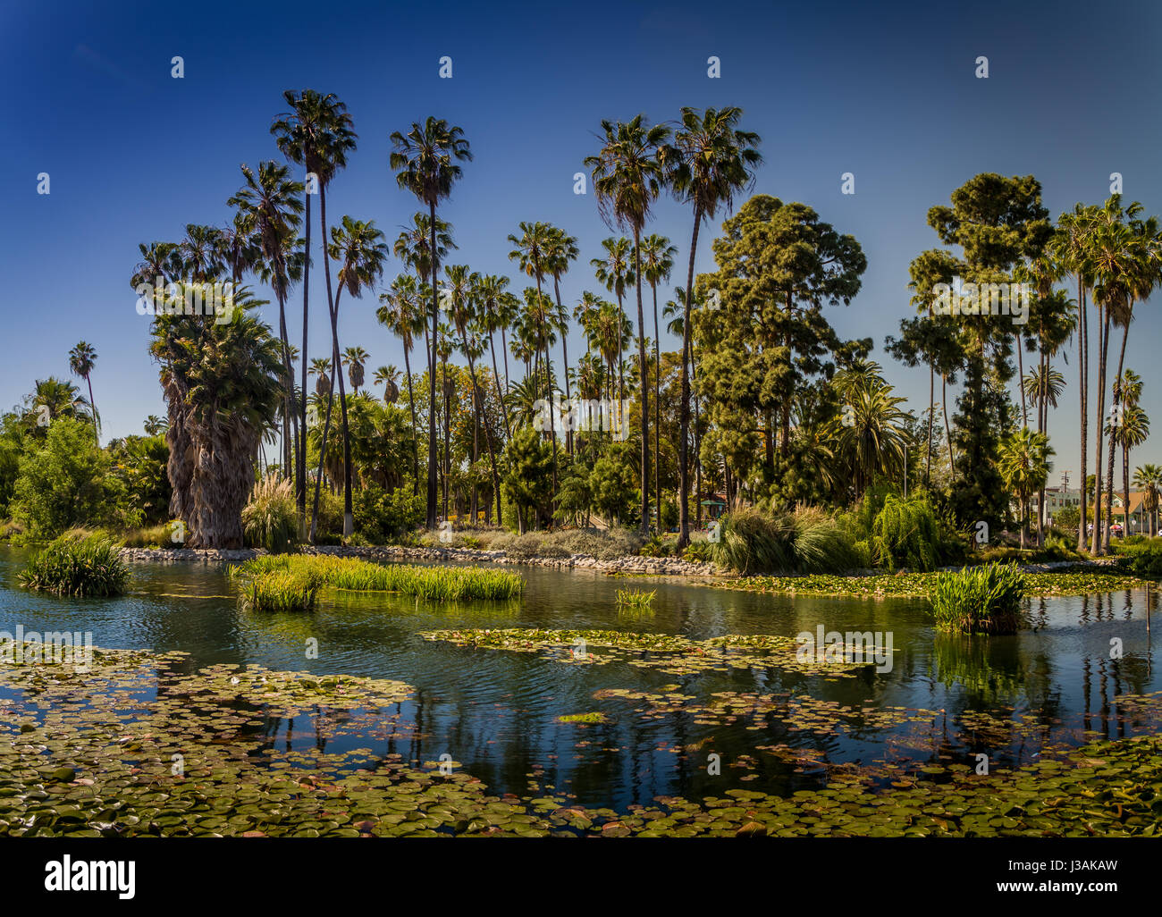 Echo Park, Los Angeles, CA Banque D'Images