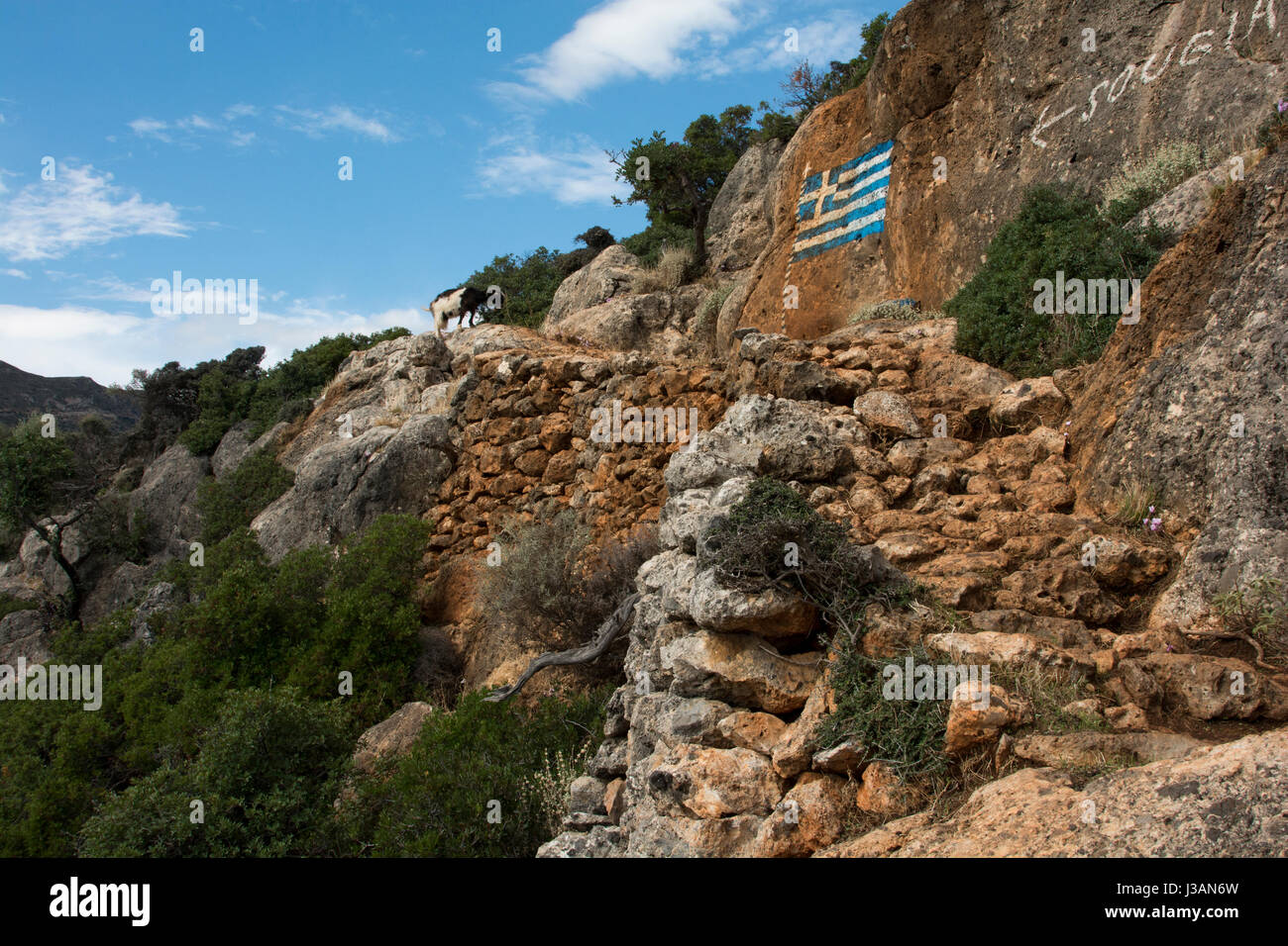 Les chèvres broutent dans la roche calcaire mur juste côté baie à Lissos côte sud de la Crète. Eine Ziege grast auf den kahlen Kalkfelsen der Berge suis Ra Banque D'Images