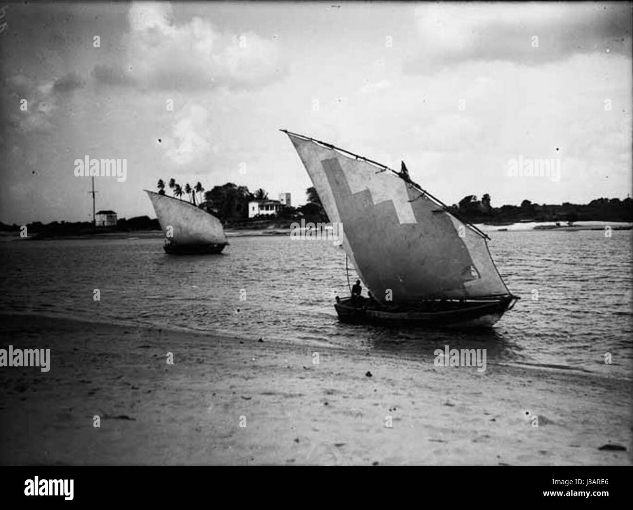 Dhaus est un terme qui fait référence à un type de voilier arabe traditionnel, souvent utilisé dans le golfe Persique et les zones environnantes pour le commerce et la pêche. Le Dhaus a un design distinctif avec une voile lateen, et est un symbole de la culture maritime dans la région. Banque D'Images