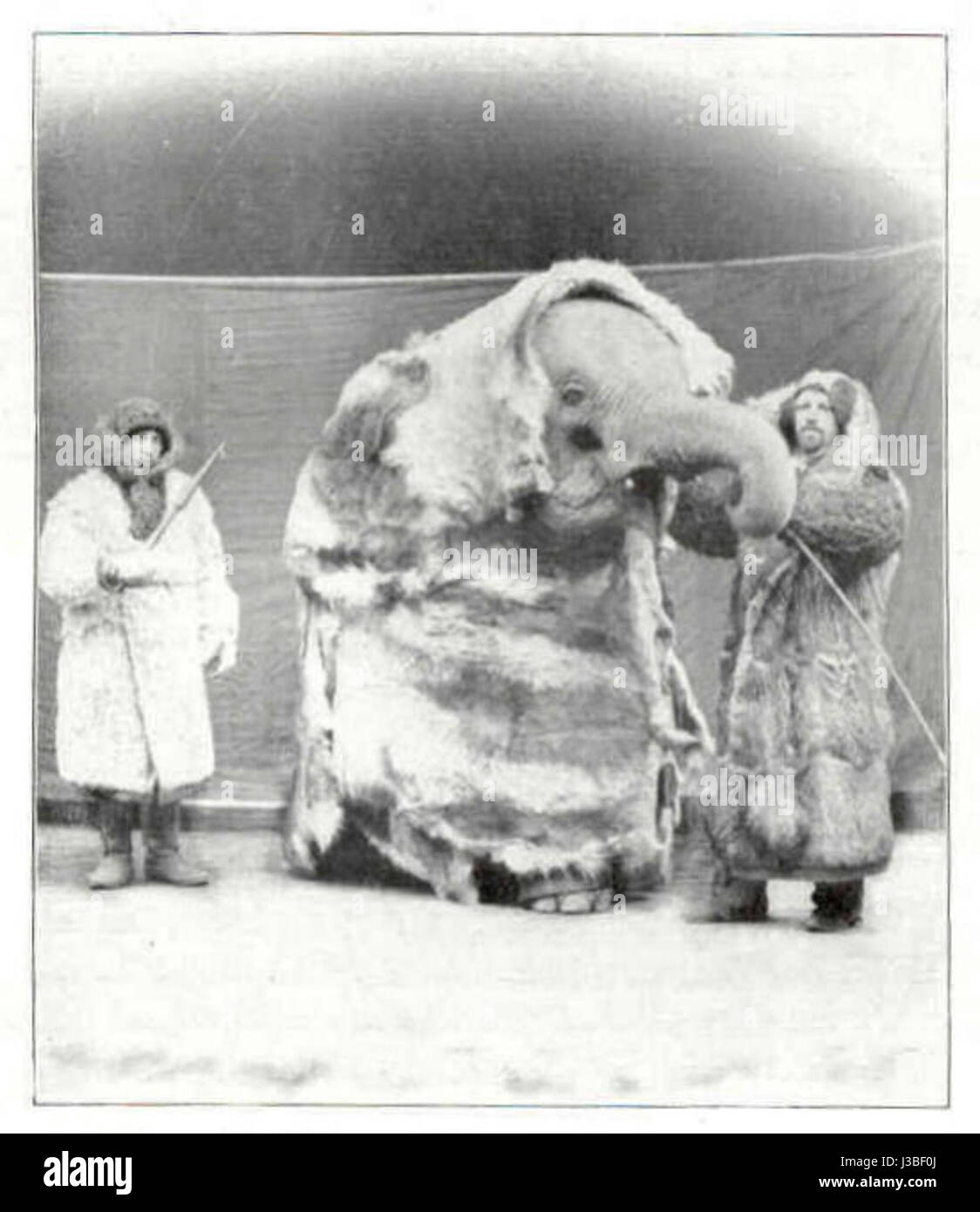 'Elefant im Pelz' se traduit par 'Elephant in fur' en anglais, faisant probablement référence à une œuvre d'art, littérature ou concept métaphorique impliquant un éléphant avec de la fourrure, symbolisant une image inhabituelle ou contrastée. Banque D'Images 'Elefant im Pelz' se traduit par 'Elephant in fur' en anglais, faisant probablement référence à une œuvre d'art, littérature ou concept métaphorique impliquant un éléphant avec de la fourrure, symbolisant une image inhabituelle ou contrastée. Banque D'Images