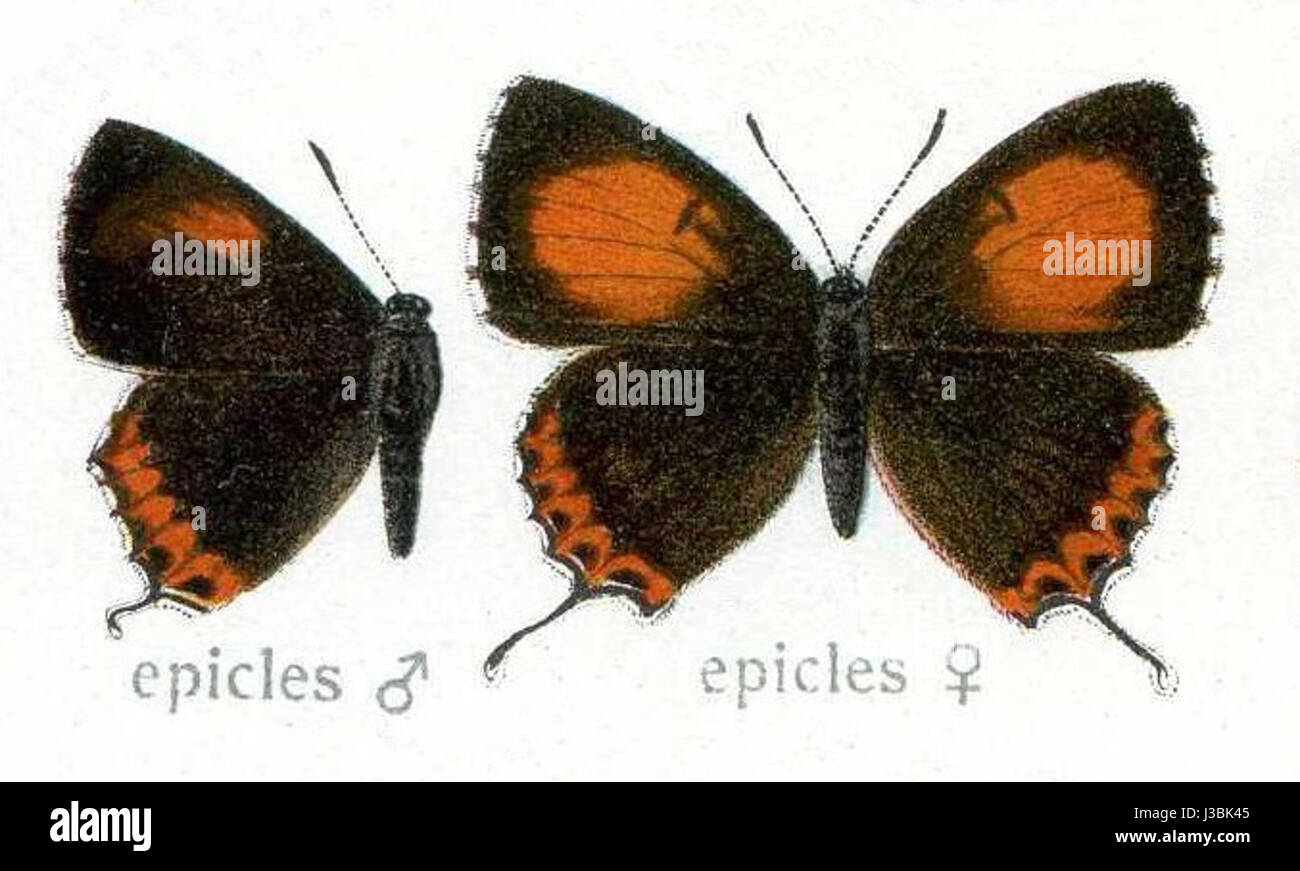 Epic fait référence à un genre de poésie narrative, de drame ou de prose qui raconte les actes héroïques et les aventures de personnages légendaires ou historiques. Le genre a une longue tradition dans la littérature mondiale, véhiculant souvent des leçons morales et des valeurs culturelles. Banque D'Images