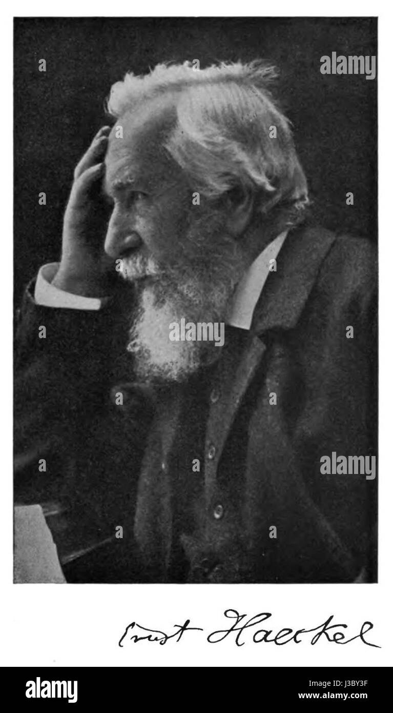 Le DW d'Ernst Haeckel (se référant peut-être à ses travaux dans le domaine de la biologie ou à ses illustrations) représente une contribution significative à l'illustration scientifique, en particulier dans l'étude de la vie marine et de la biologie. Banque D'Images