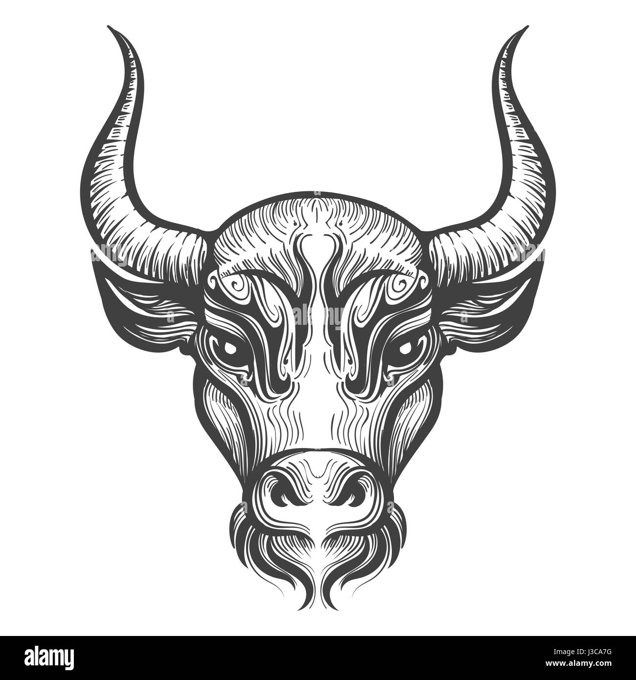 Gravure tête de Bull l'illustration. Signes du zodiaque.Taureau signe astrologique. Vector illustration isolé sur un fond blanc. Illustration de Vecteur
