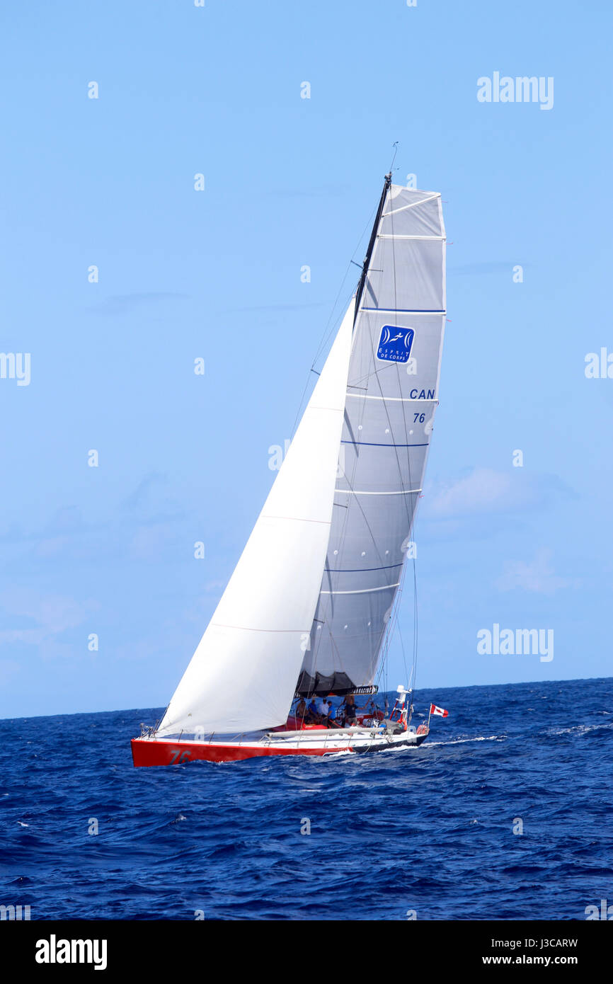 Spartan Ocean Racing un Challenger Whitbread 60 voilier de course au large de Saint Martin au cours de la Caraïbes Antigua 2017 RORC 600 Banque D'Images