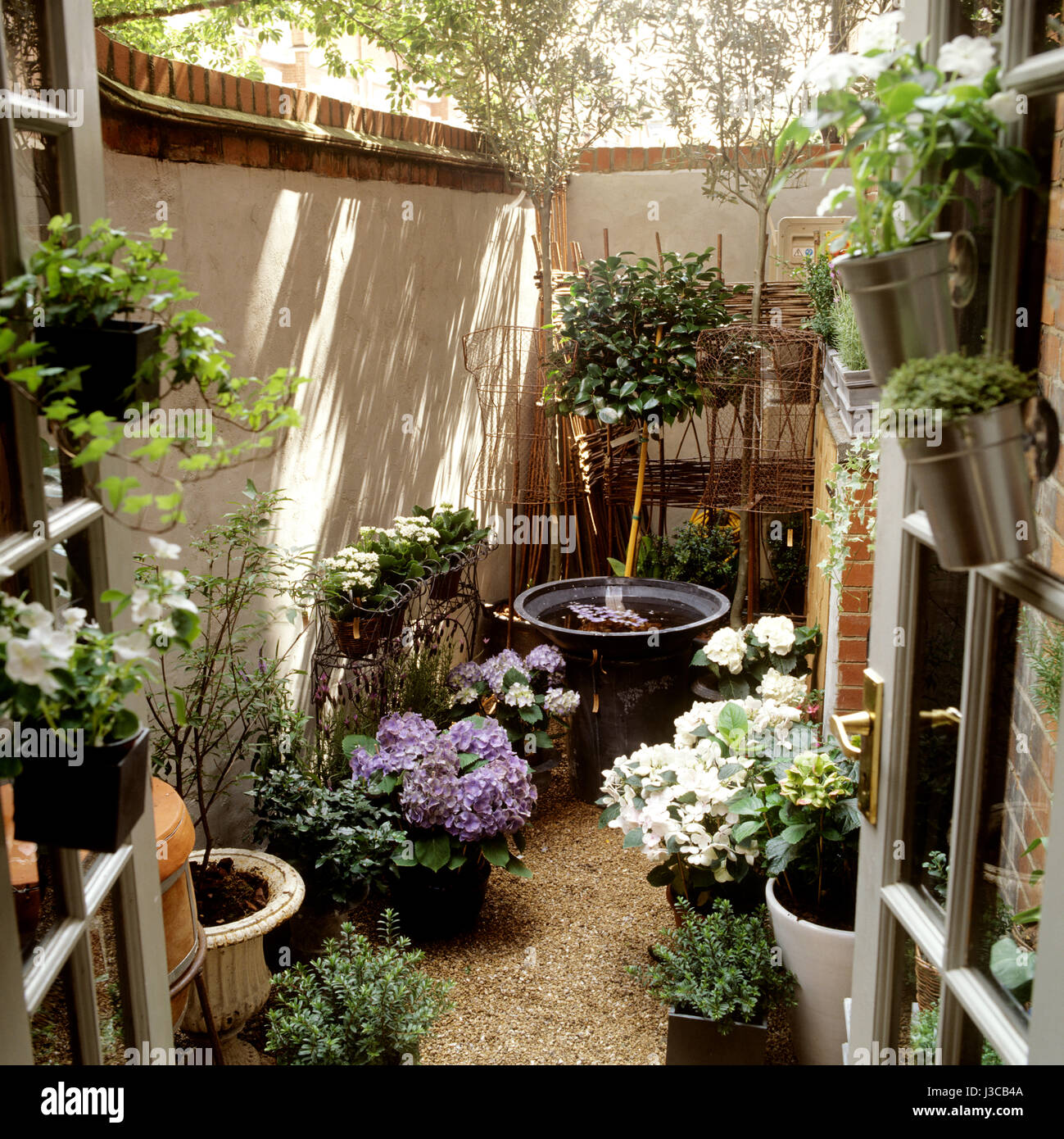 Jardin arrière avec des plantes en pot. Banque D'Images