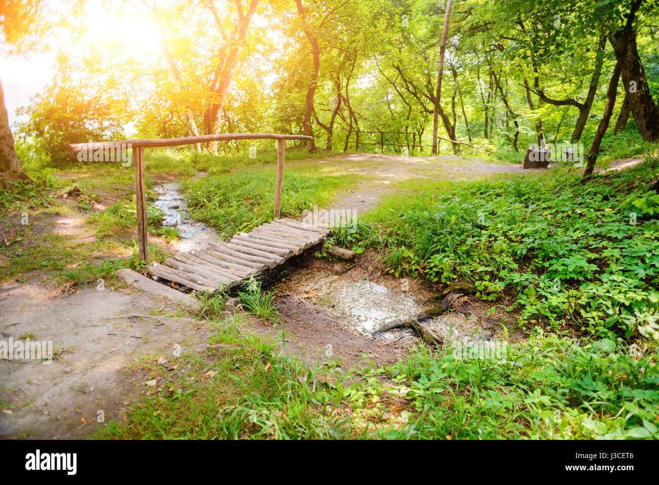 Ancien petit pont à travers une rivière dans une forêt tropicale Banque D'Images
