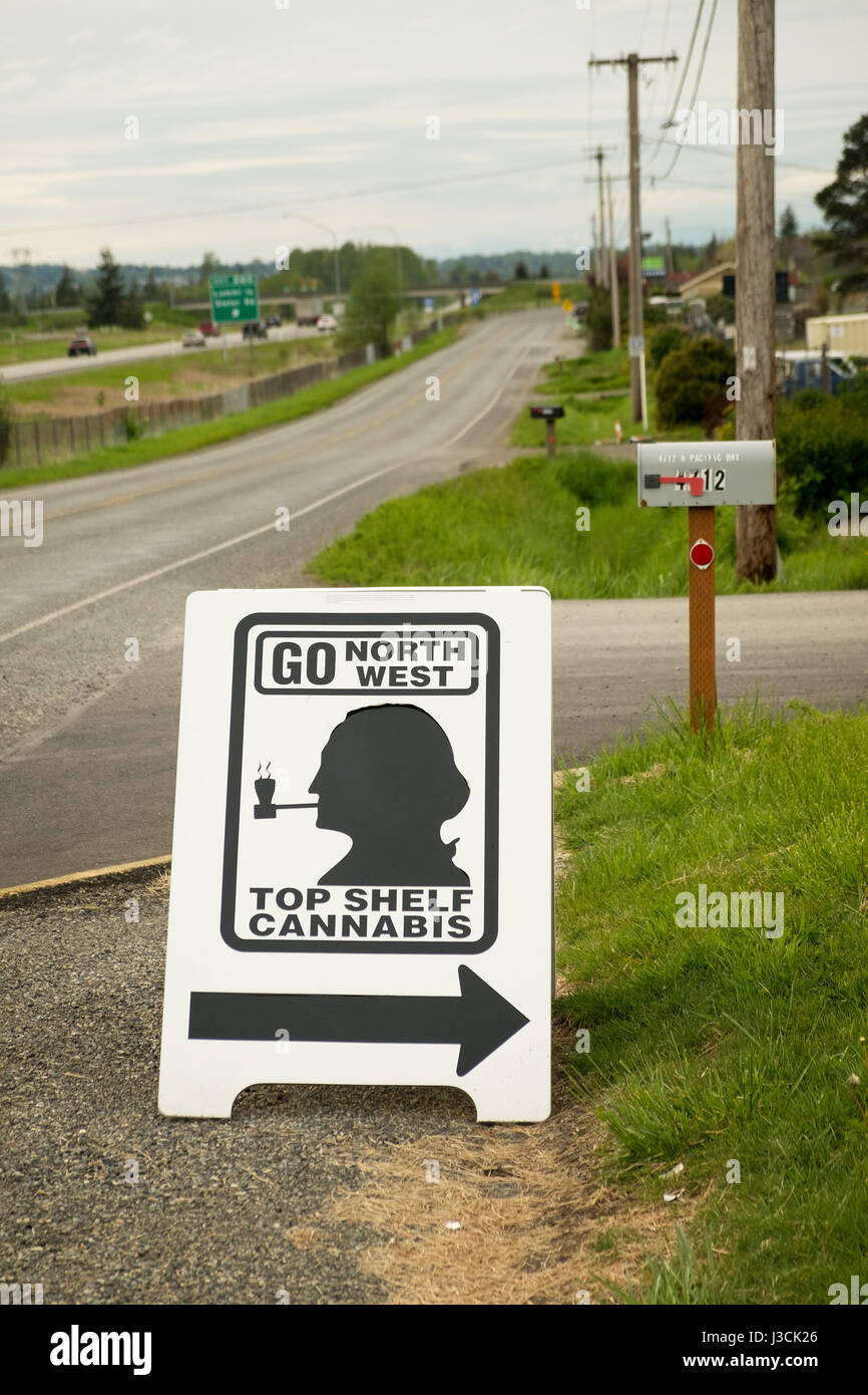 La marijuana juridique et les affiches de magasins de canabis le long de l'autoroute, près de Bellingham, Washington State, USA. Banque D'Images