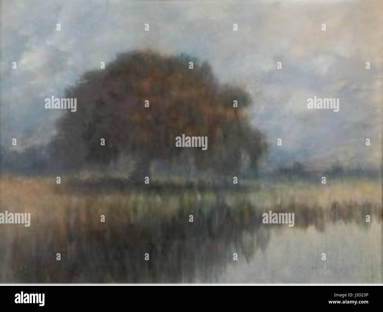 La peinture d'Alexander John Drysdale représente un chêne le long de la côte inférieure du Mississippi, créé en 1912. Le travail de Drysdale reflète son intérêt pour les paysages du Sud et la nature. Banque D'Images