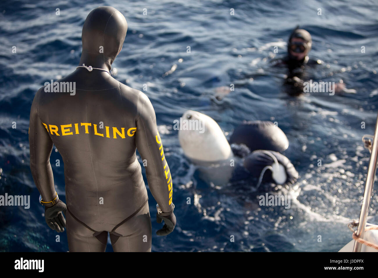 Détenteur du record du monde d'apnée à Herbert Nitsch le camp de formation à Santorin, Grèce Banque D'Images