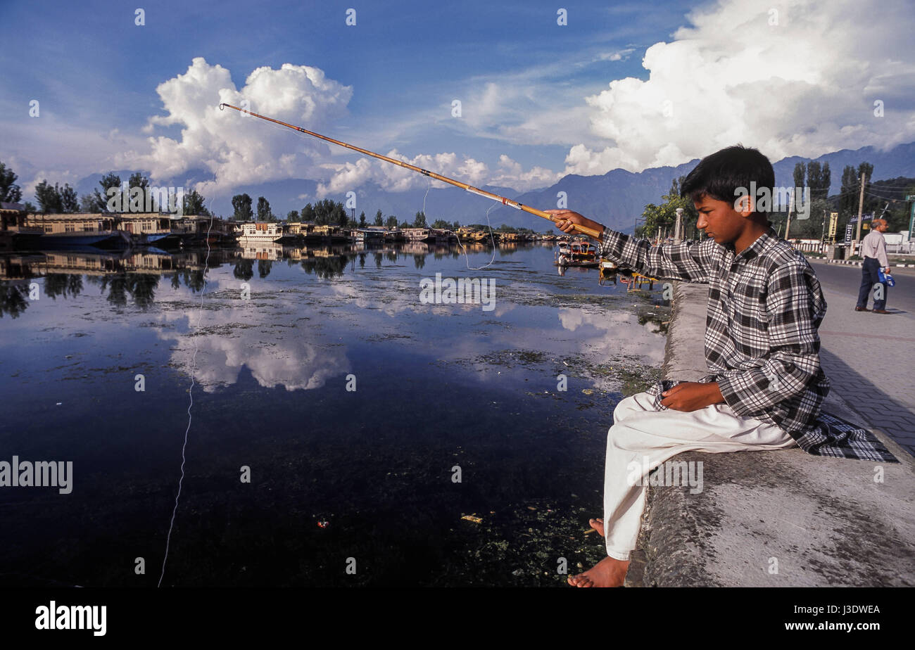 Srinagar, Jammu-et-Cachemire, en Inde, en 2010, la pêche au lac Dal Banque D'Images
