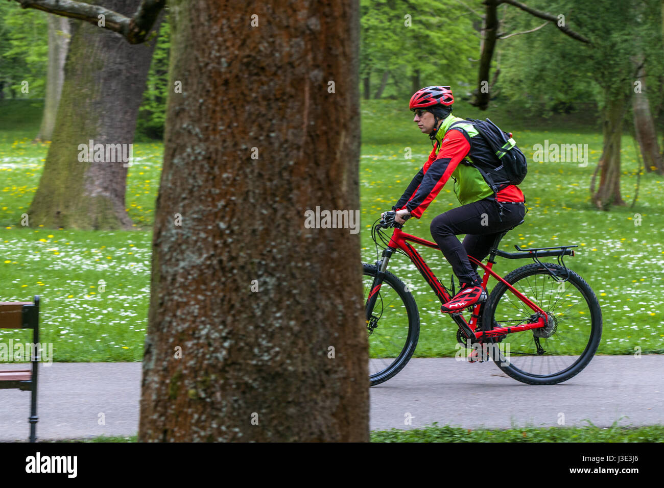 Cycliste à vélo sur une piste cyclable dans un parc Banque D'Images