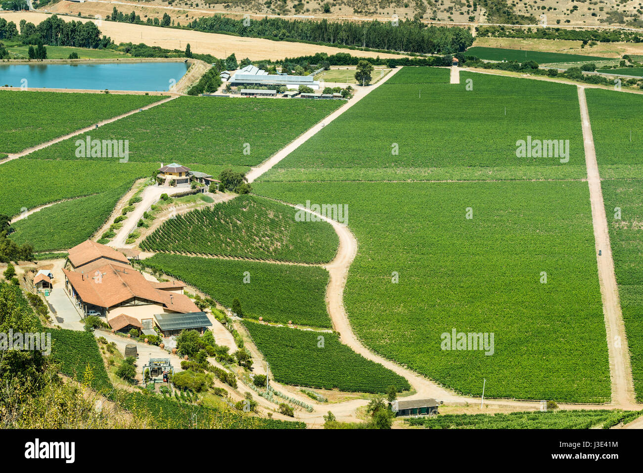 Santa Cruz, O'Higgins, Chili - vue de Santa Cruz vignoble dans la vallée de Colchagua, une nouvelle attraction touristique autour de Banque D'Images