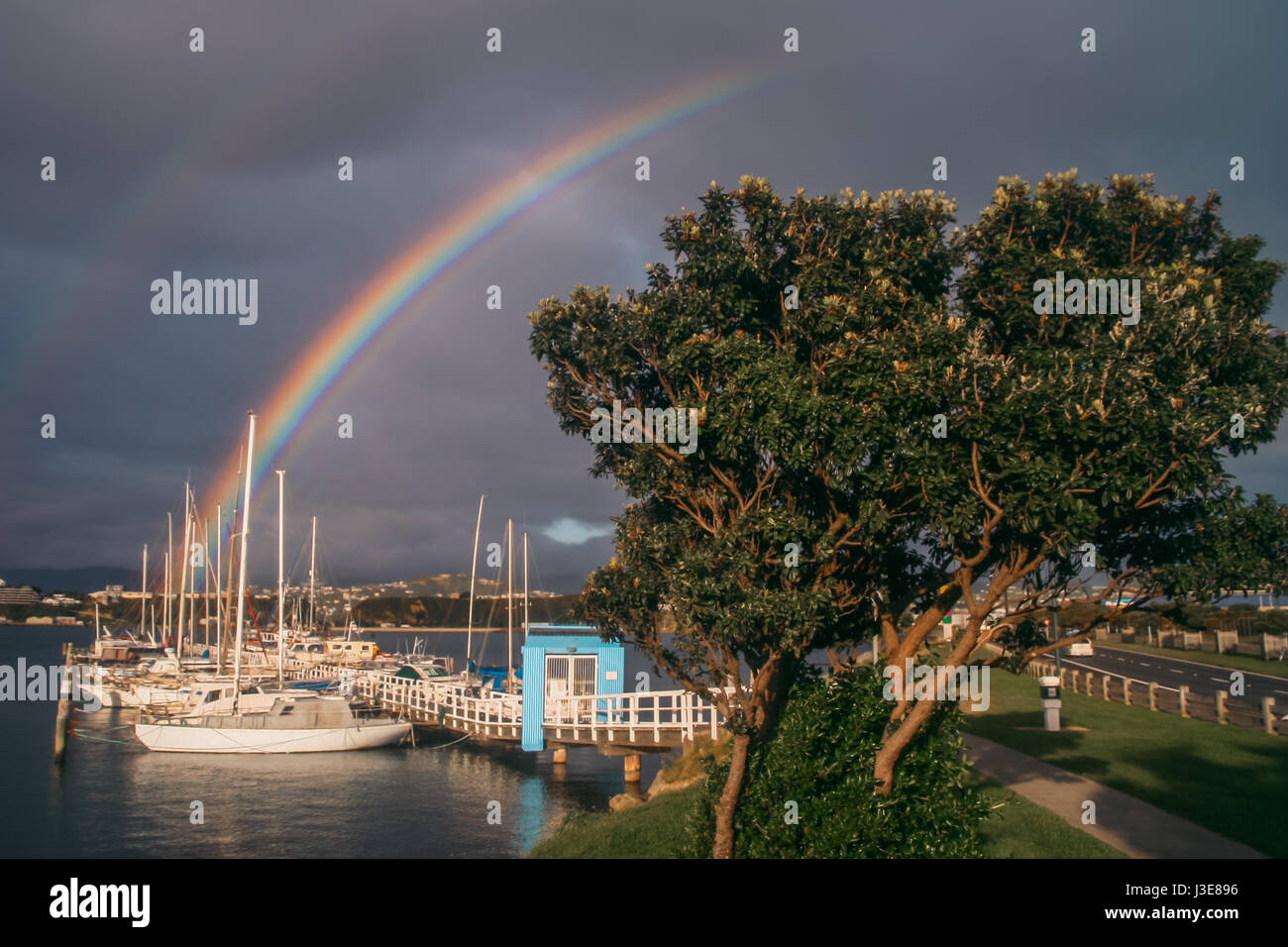 Arc-en-ciel sur les bateaux dans un port de Wellington Banque D'Images